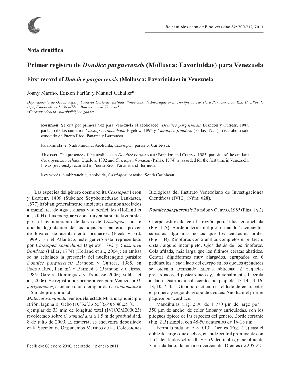 Primer Registro De Dondice Parguerensis (Mollusca: Favorinidae) Para Venezuela