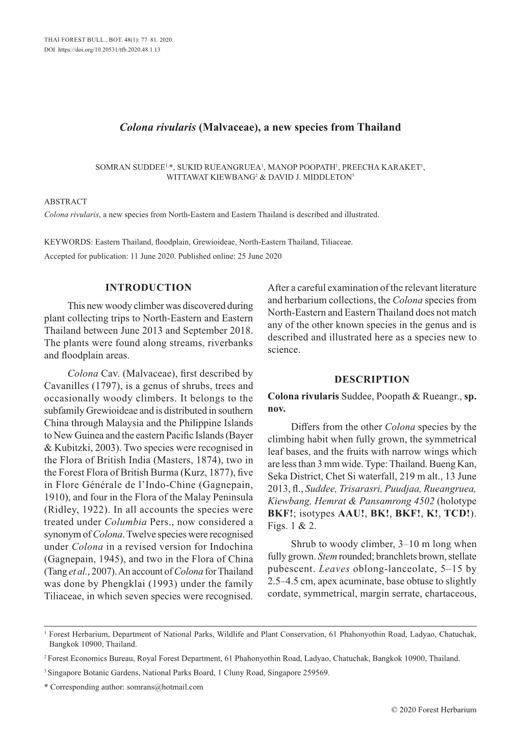 Colona Rivularis (Malvaceae), a New Species from Thailand