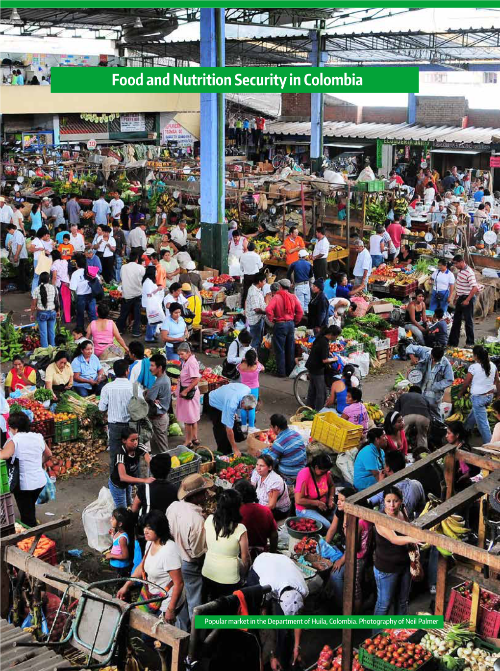 Food and Nutrition Security in Colombia