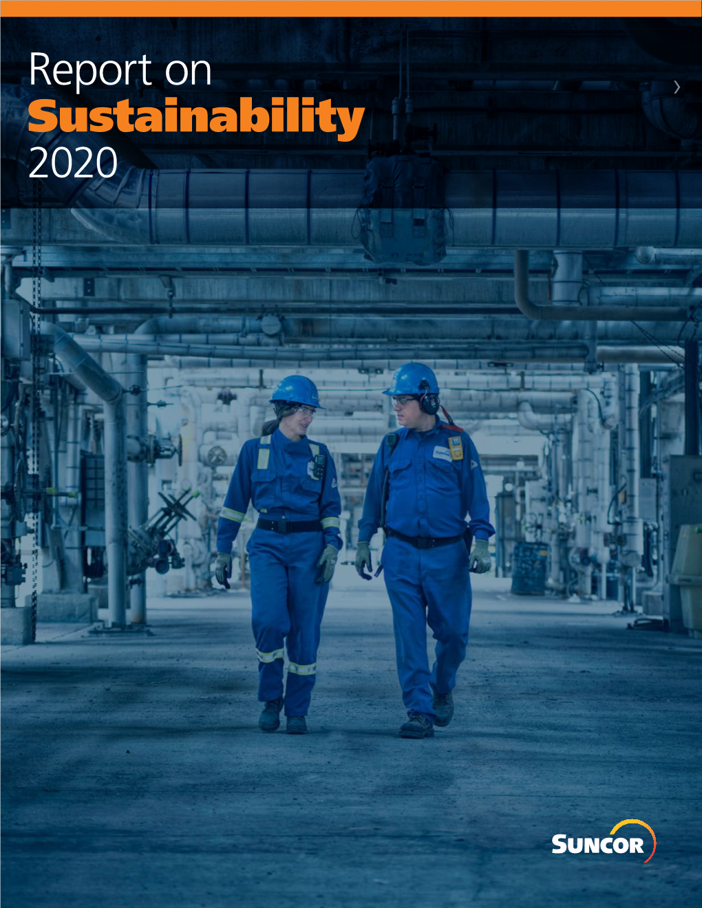 Report on Sustainability 2020 CEO Message