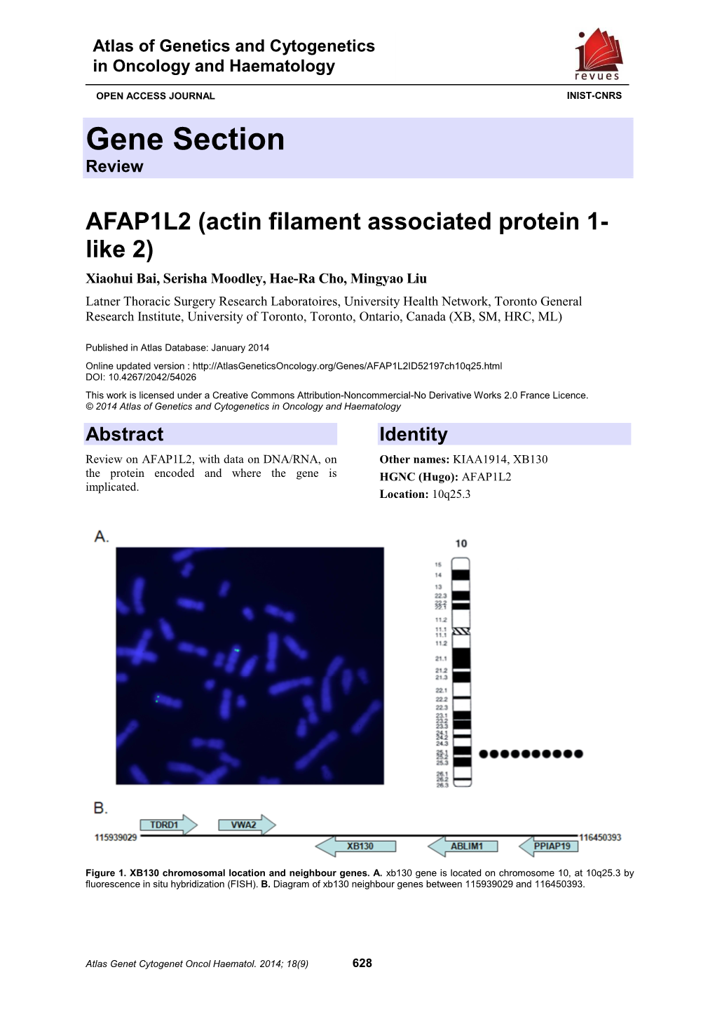 Gene Section Review