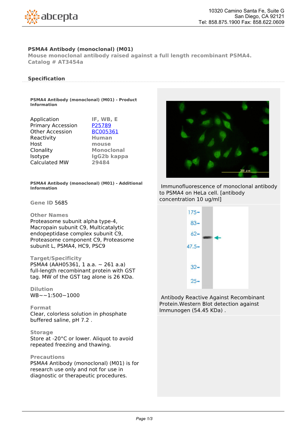 PSMA4 Antibody (Monoclonal) (M01) Mouse Monoclonal Antibody Raised Against a Full Length Recombinant PSMA4