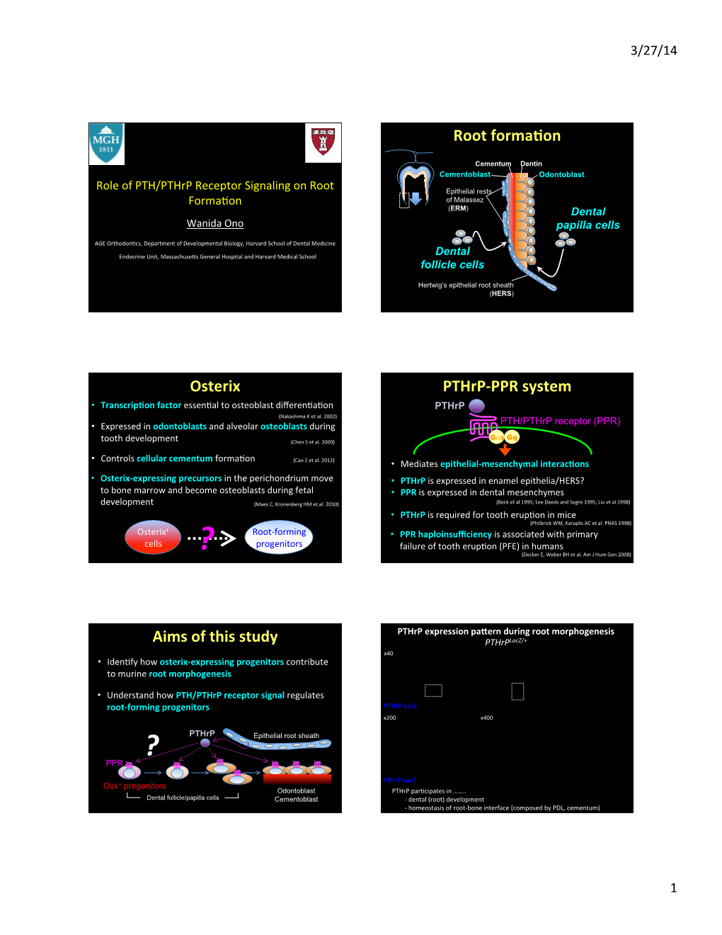 Ono -- PTH-Pthrp Receptor Signaling in Osterix-Expressing Progenitors.Pdf