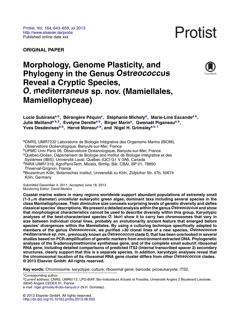 Morphology, Genome Plasticity, and Phylogeny in the Genus