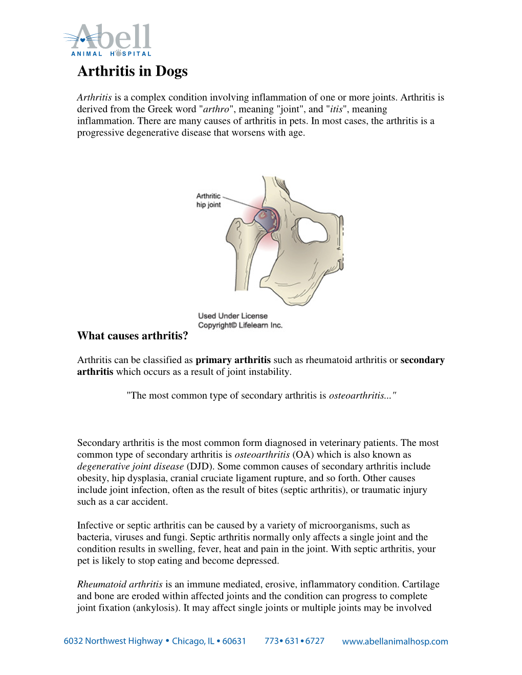 Arthritis in Dogs