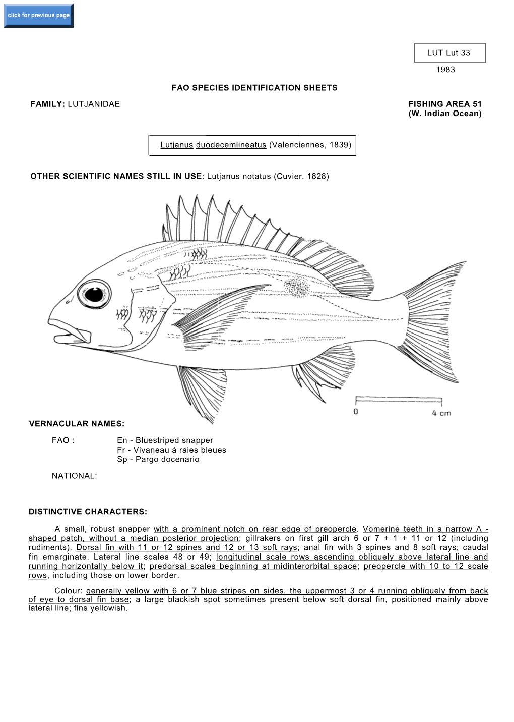 LUT Lut 33 1983 FAO SPECIES IDENTIFICATION SHEETS FAMILY