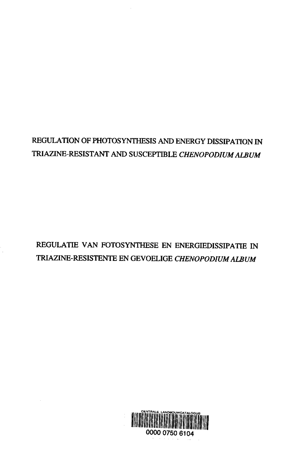 Regulation of Photosynthesis and Energy Dissipation Intriazine-Resistan T and Susceptible Chenopodiumalbum"