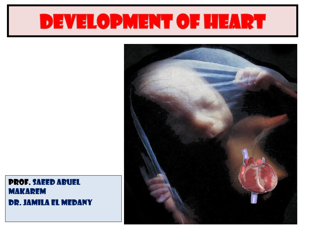 Embryology and Anatomy of Fetal Heart