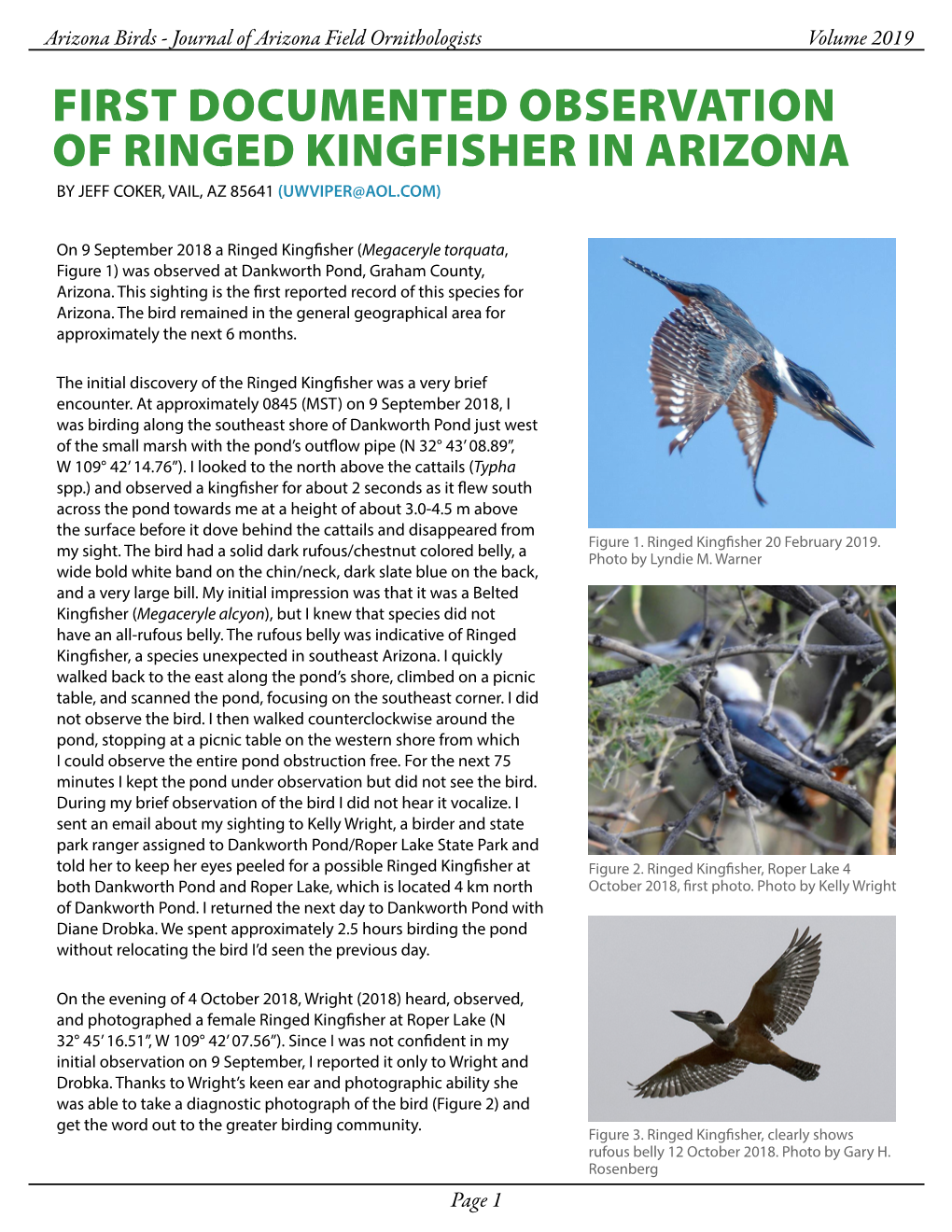 First Documented Observation of Ringed Kingfisher in Arizona by Jeff Coker, Vail, Az 85641 (Uwviper@Aol.Com)