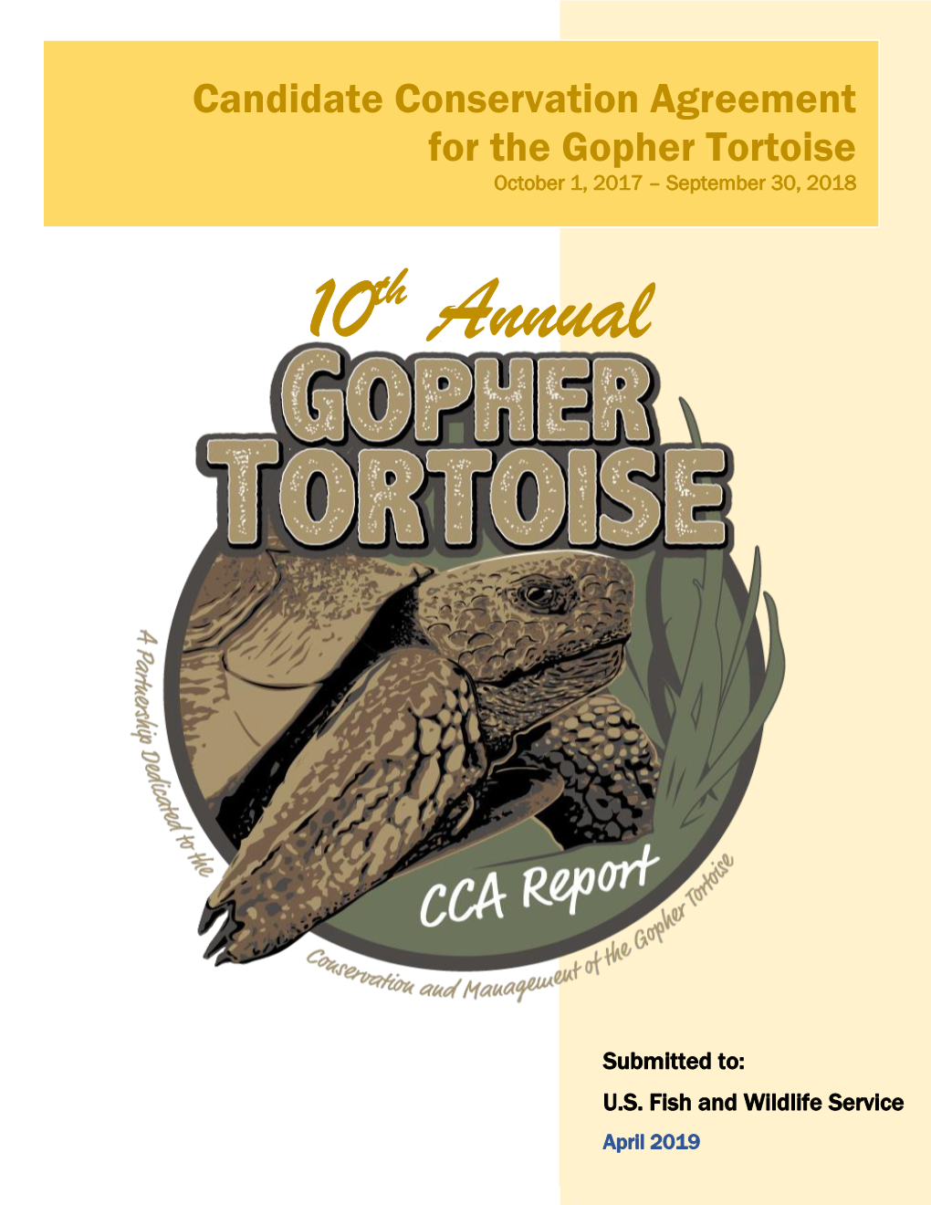 10Th Annual Gopher Tortoise