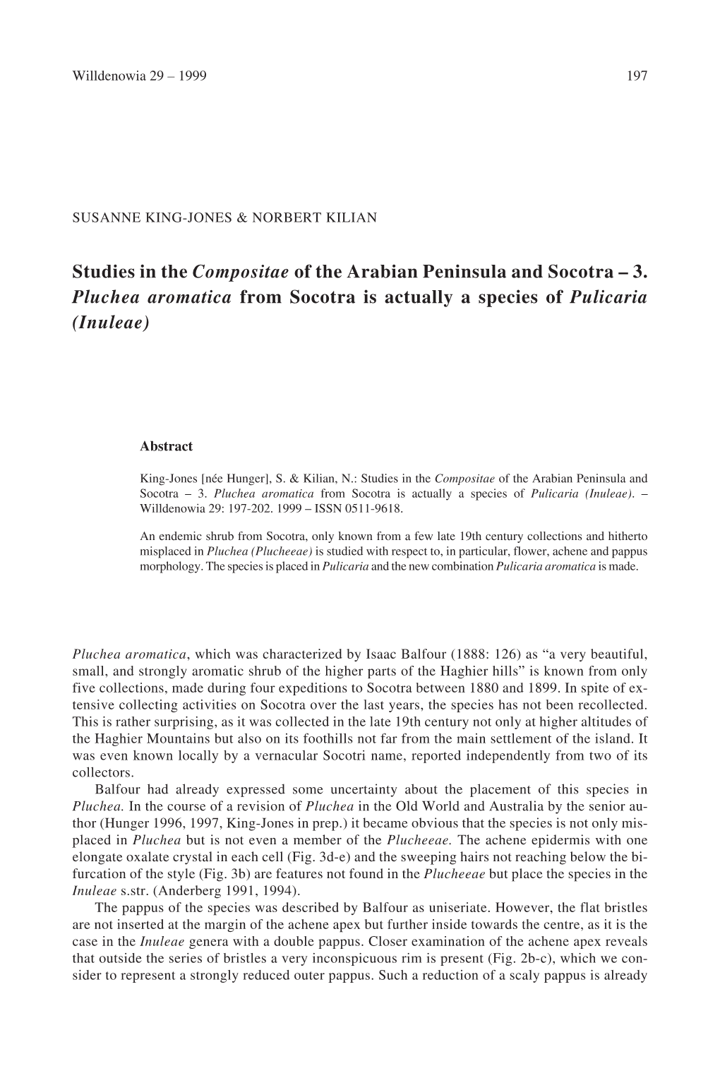 Studies in the Compositae of the Arabian Peninsula and Socotra – 3