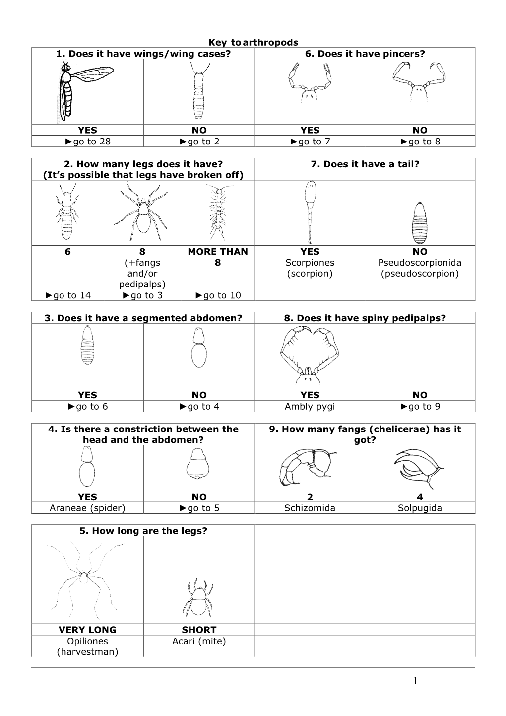 Key to Arthropods 1