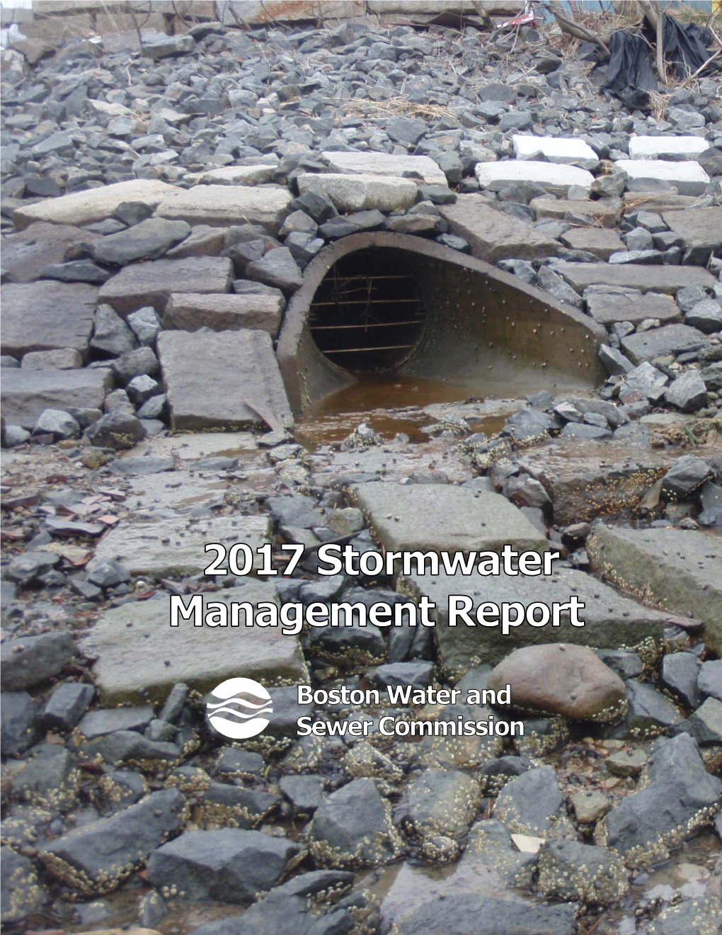 2017 Stormwater Management Report