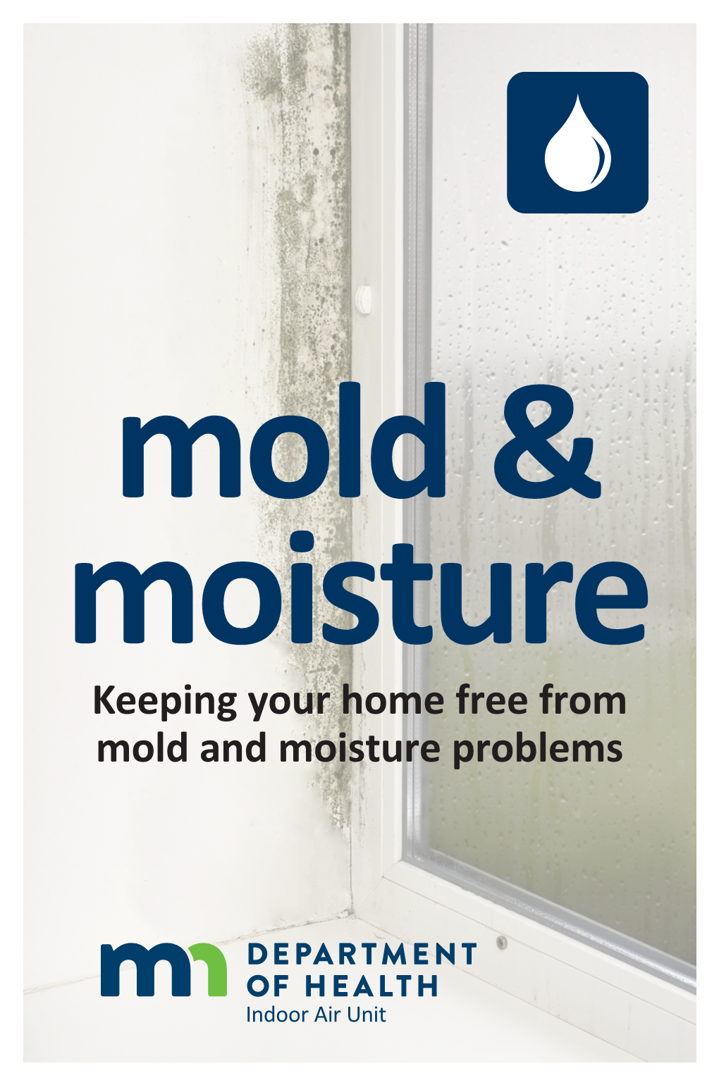 Mold & Moisture