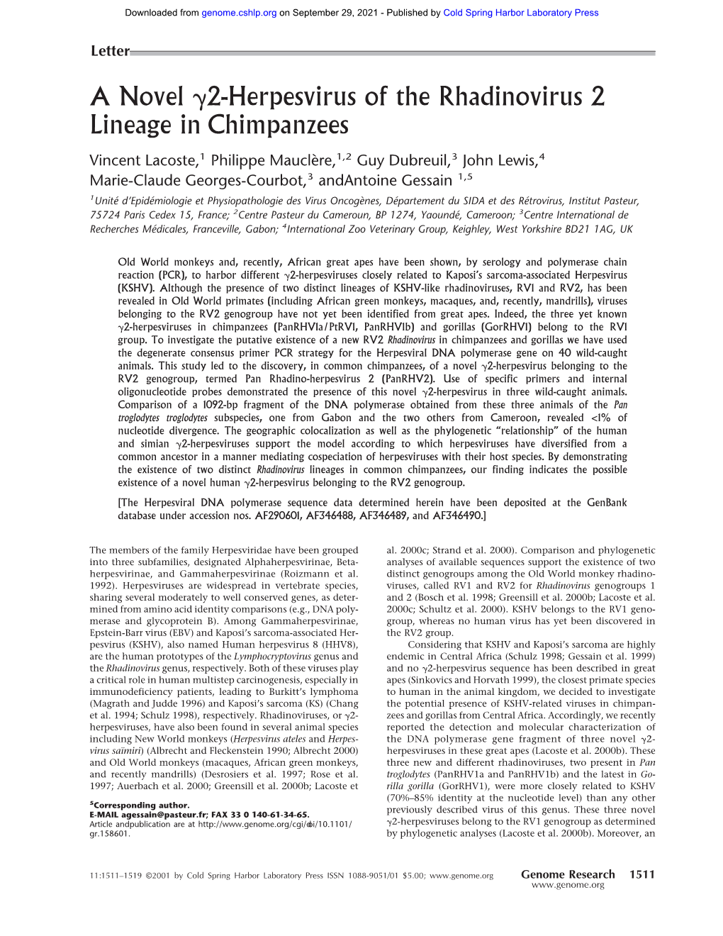 A Novel 2-Herpesvirus of the Rhadinovirus 2 Lineage In