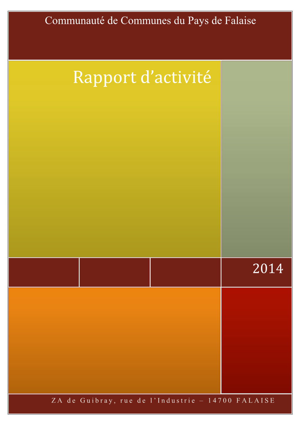 Rapport D'activité