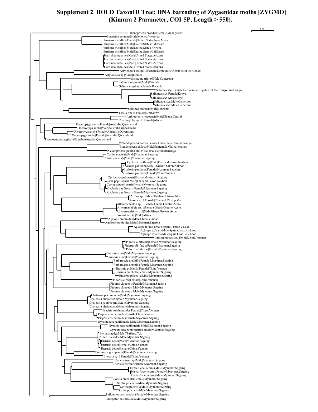 ZYGMO] (Kimura 2 Parameter, COI-5P, Length > 550)