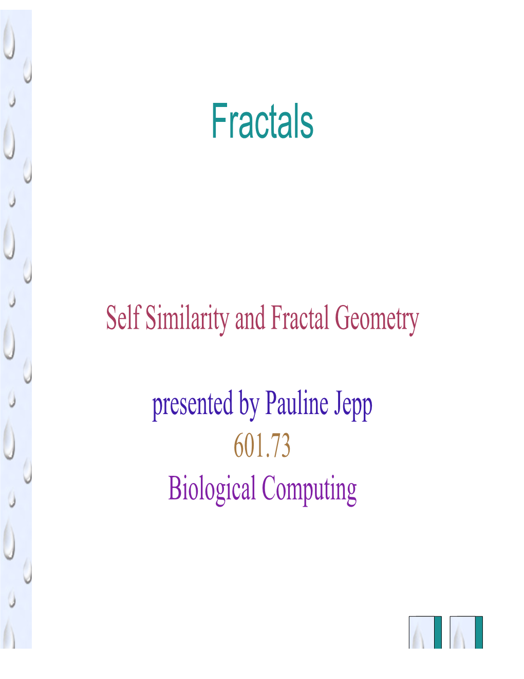 Fractals.Pdf