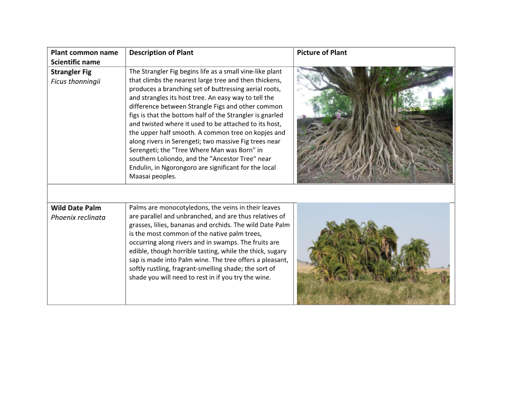 Plant Common Name Scientific Name Description of Plant Picture of Plant