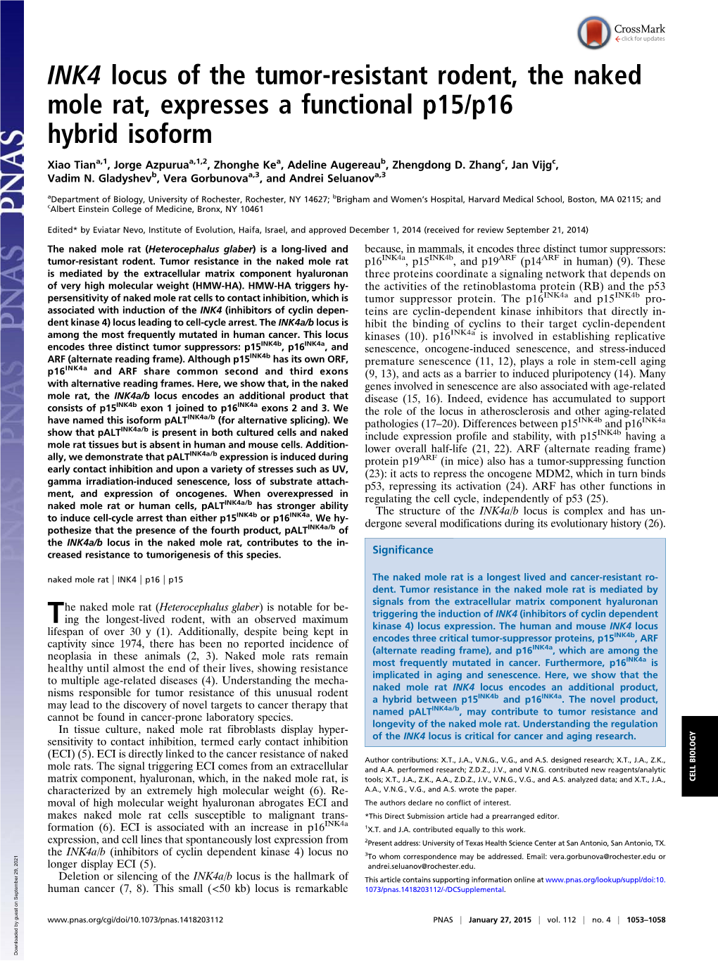 INK4 Locus of the Tumor-Resistant Rodent, the Naked Mole Rat, Expresses a Functional P15/P16 Hybrid Isoform