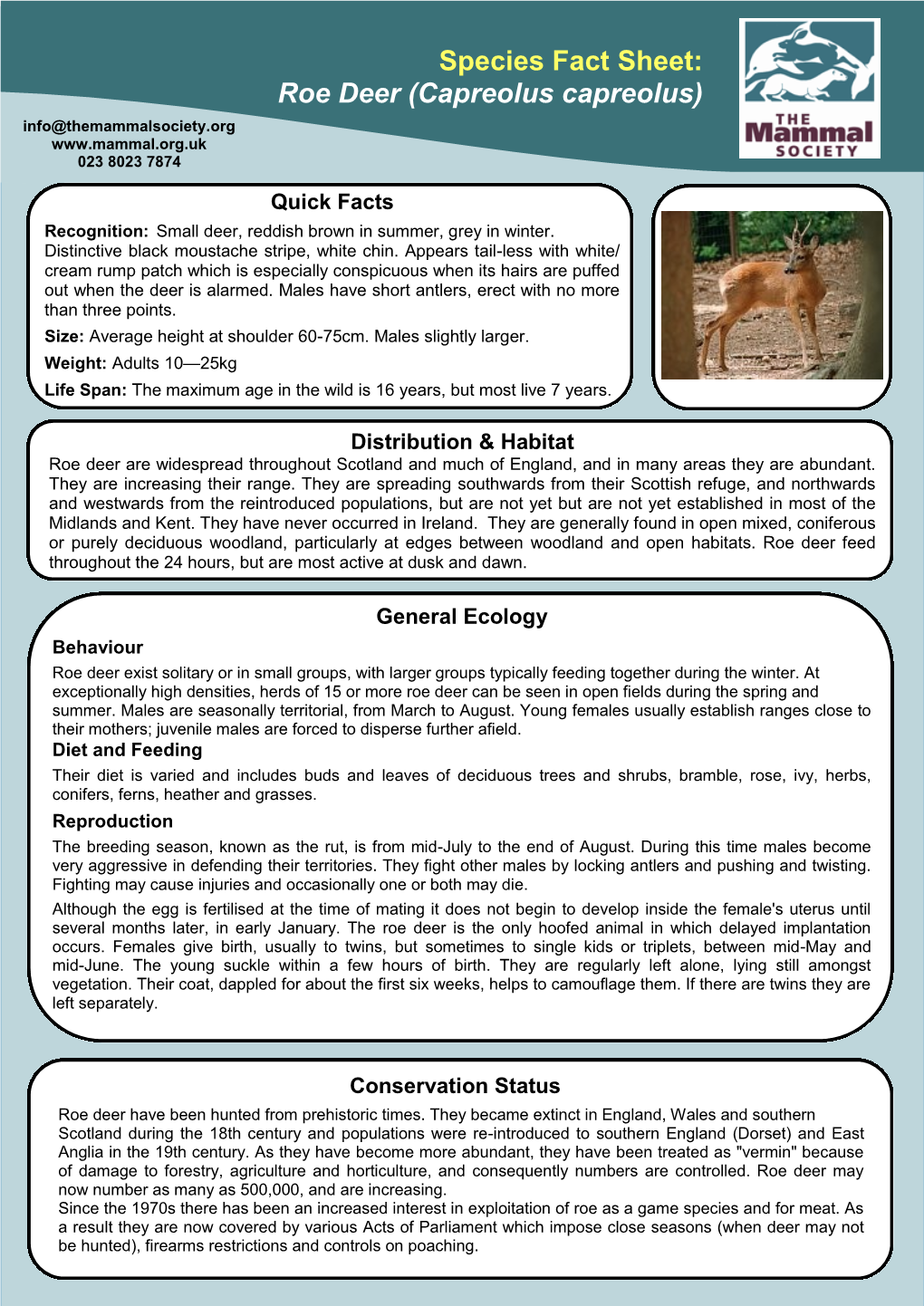 Species Fact Sheet: Roe Deer (Capreolus Capreolus) Info@Themammalsociety.Org 023 8023 7874