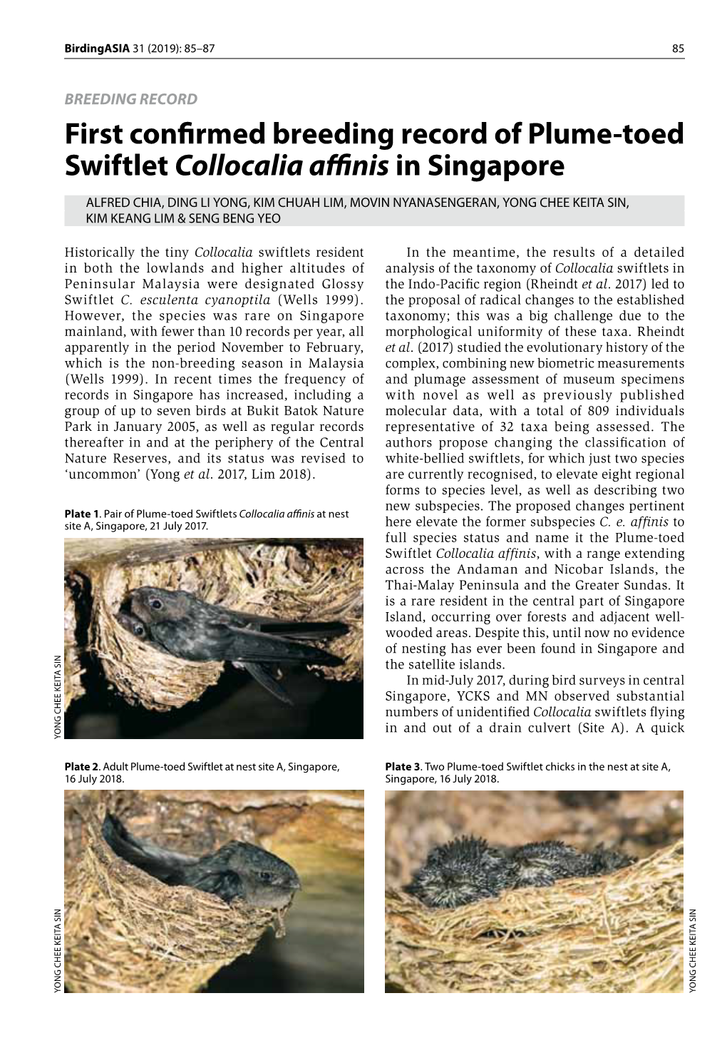 First Confirmed Breeding Record of Plume-Toed Swiftlet Collocalia Affinis in Singapore