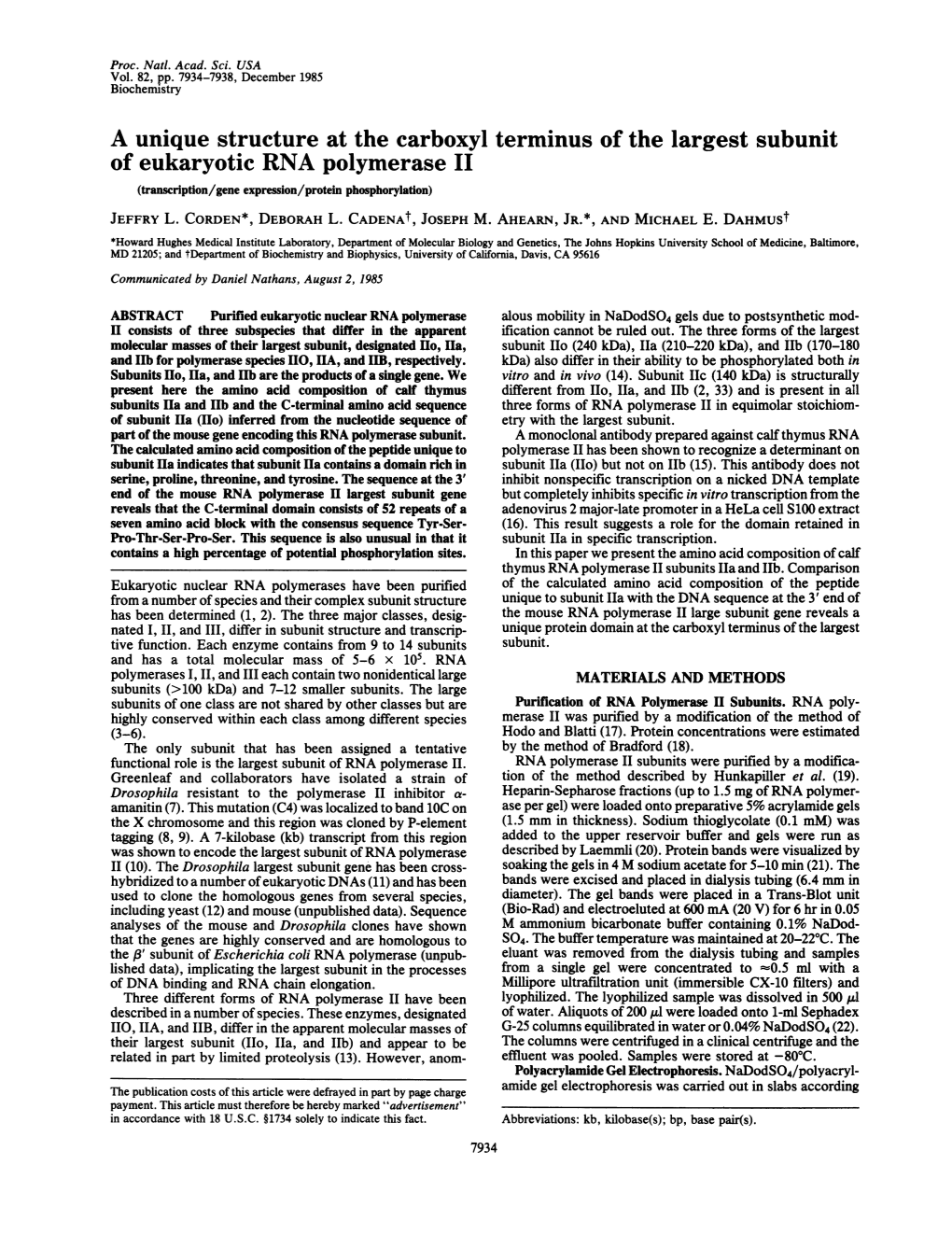 A Unique Structure at the Carboxyl Terminus of the Largest Subunit of Eukaryotic RNA Polymerase II (Transcription/Gene Expression/Protein Phosphorylation) JEFFRY L