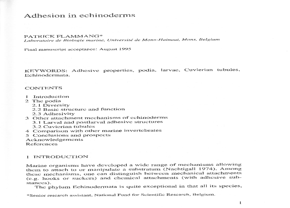 Adhesion in Echinoderms