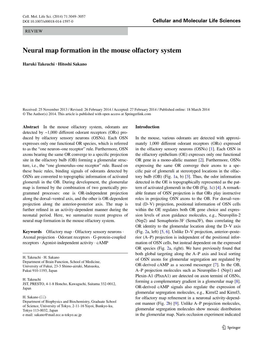 Neural Map Formation in the Mouse Olfactory System