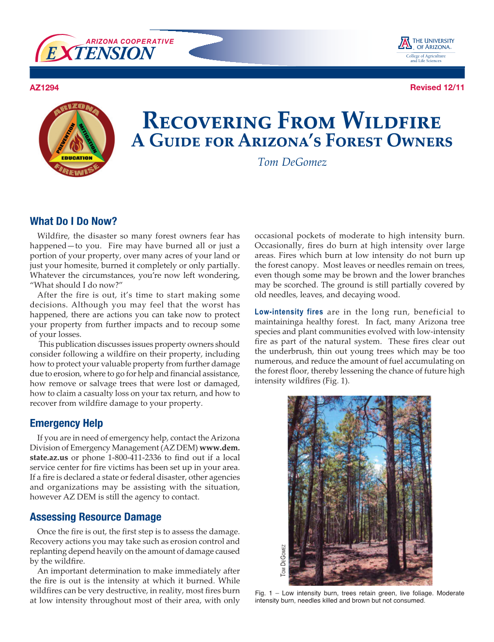 Recovering from Wildfire a Guide for Arizona’S Forest Owners Tom Degomez