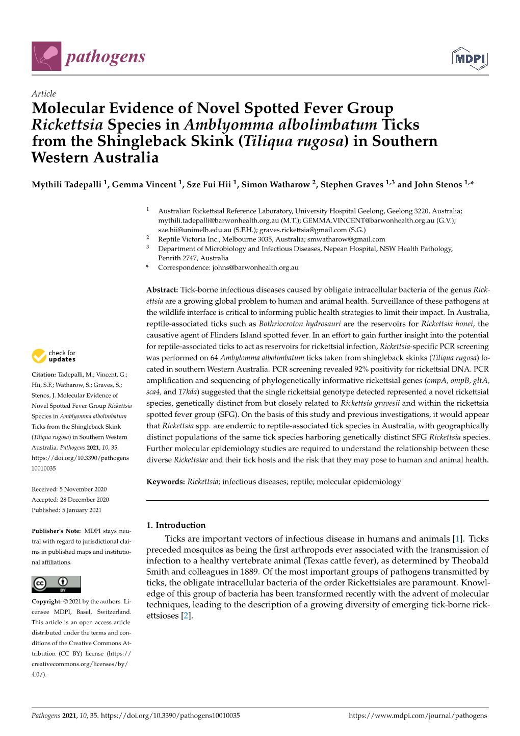 Molecular Evidence of Novel Spotted Fever Group Rickettsia