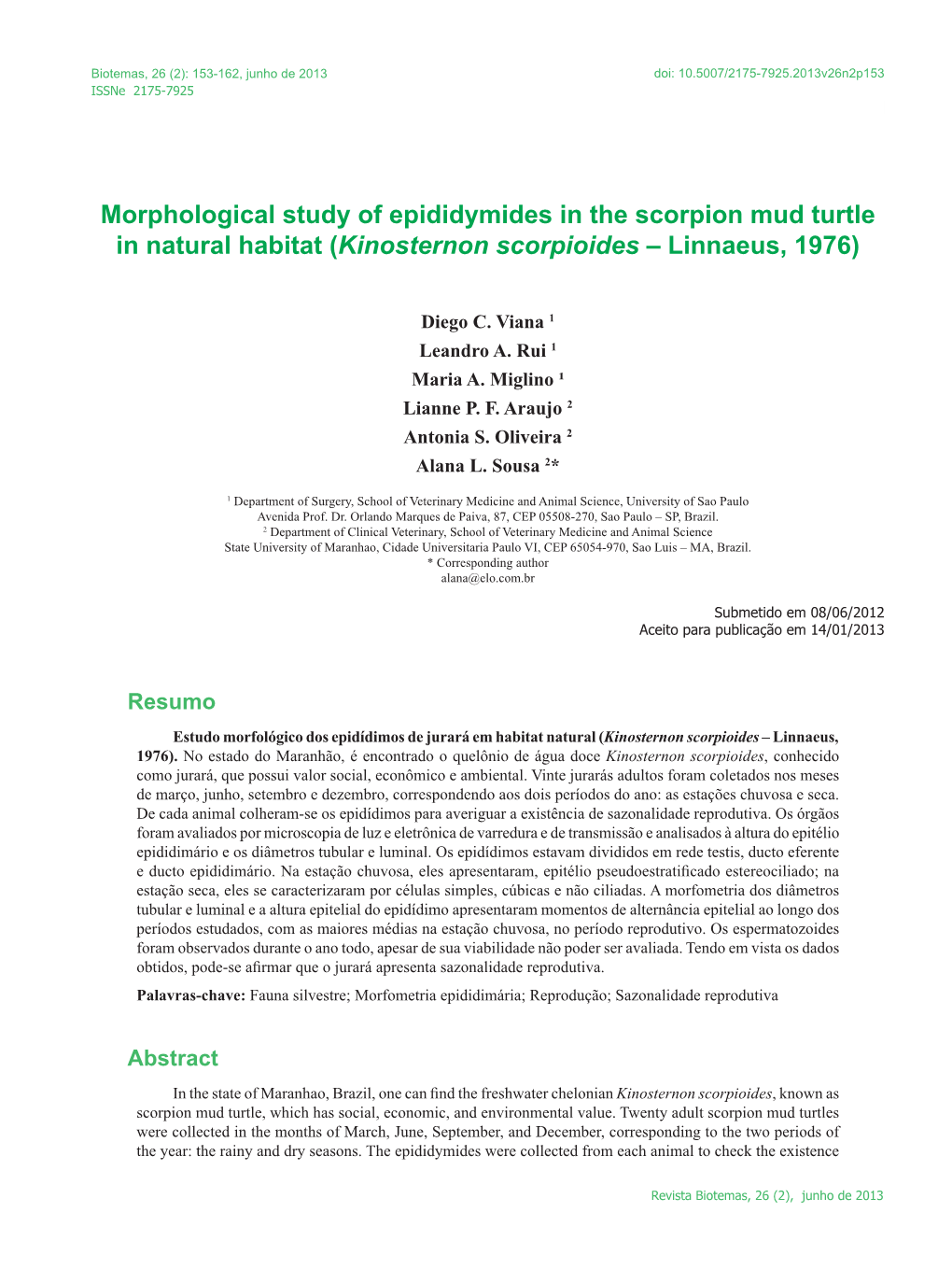 Morphological Study of Epididymides in the Scorpion Mud Turtle in Natural Habitat (Kinosternon Scorpioides – Linnaeus, 1976)