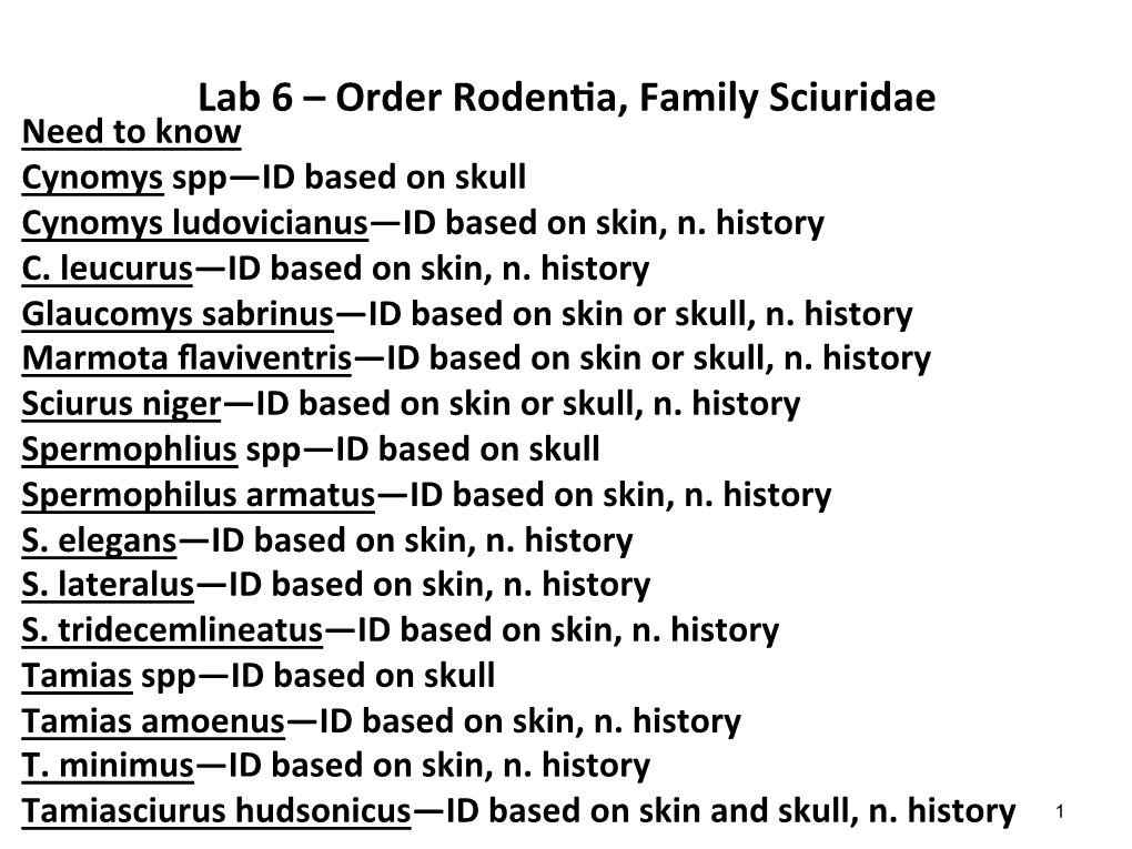 Lab 6 – Order Roden)A, Family Sciuridae