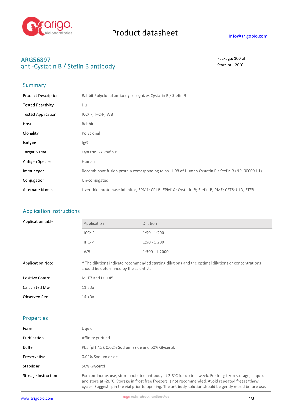 Anti-Cystatin B / Stefin B Antibody (ARG56897)