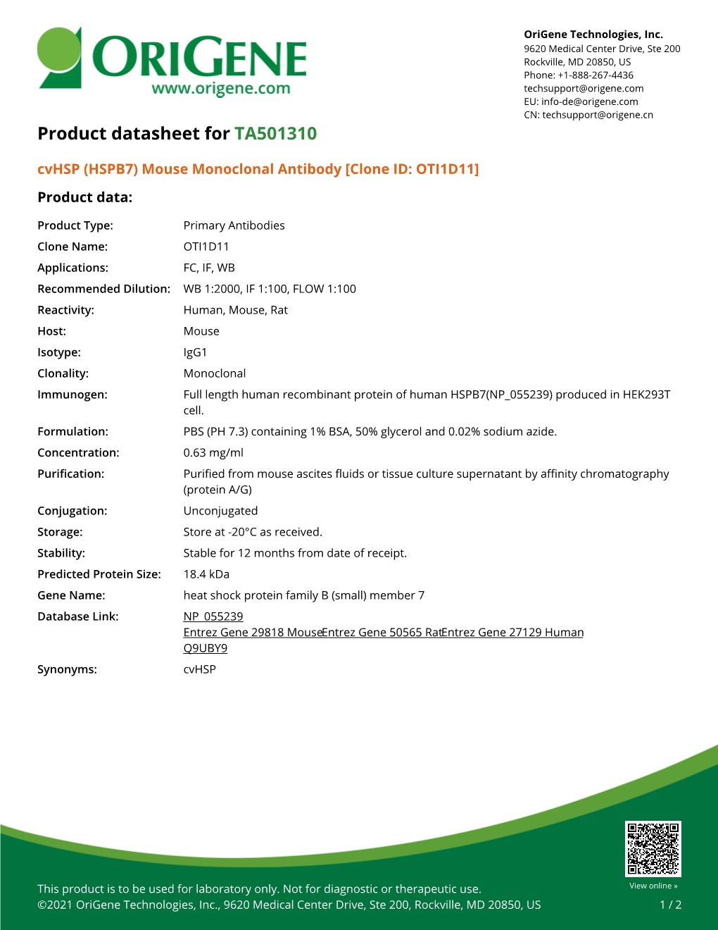 Cvhsp (HSPB7) Mouse Monoclonal Antibody [Clone ID: OTI1D11] Product Data
