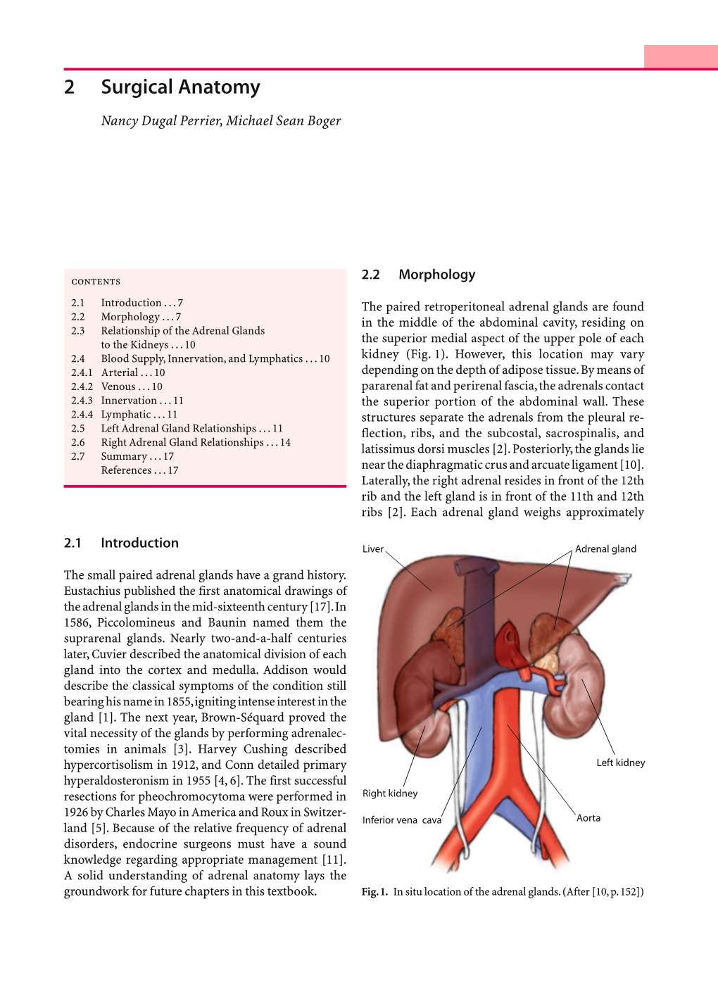 2 Surgical Anatomy