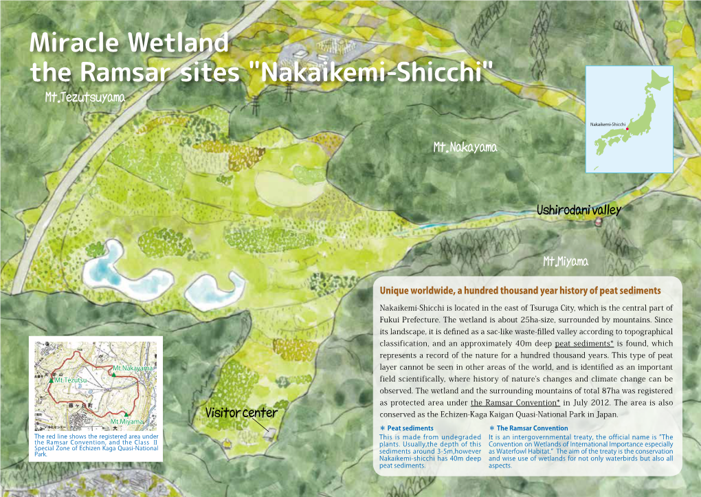 Miracle Wetland the Ramsar Sites 