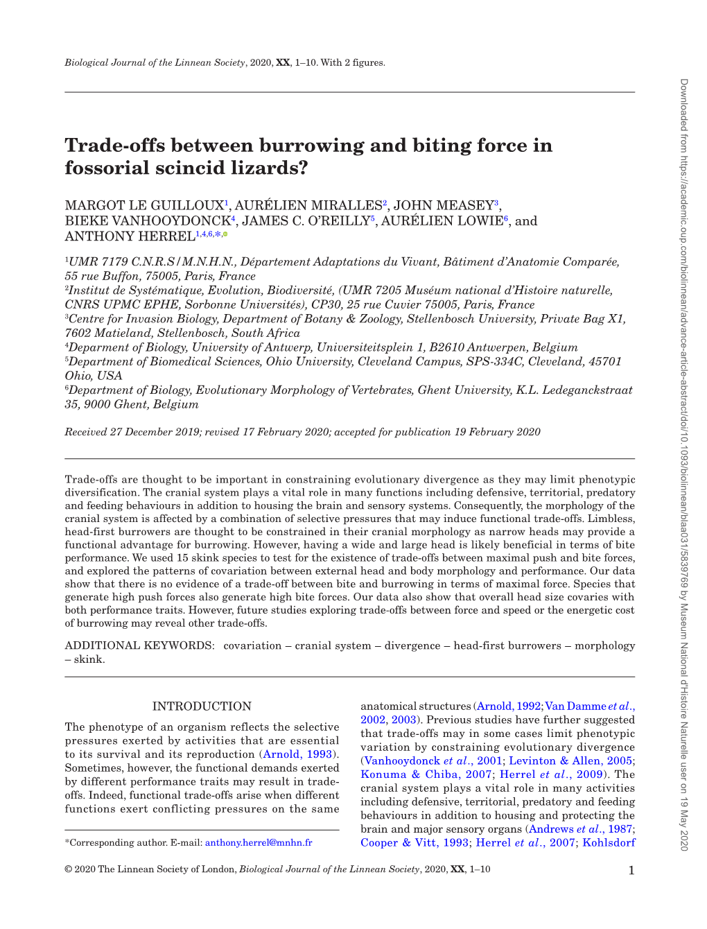 Trade-Offs Between Burrowing and Biting Force in Fossorial Scincid Lizards?