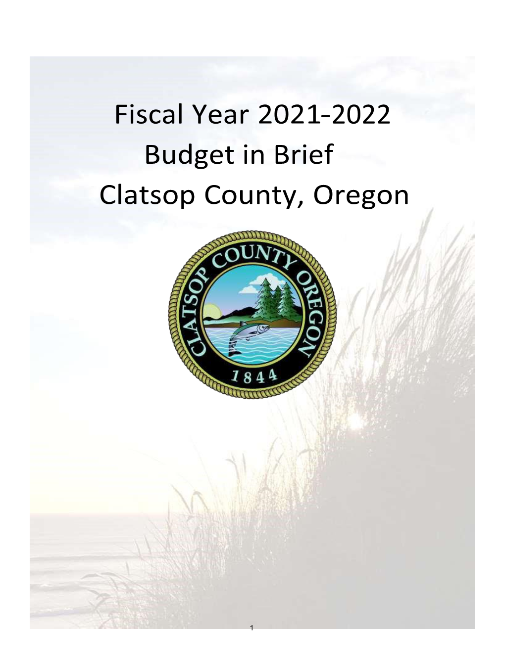 2021-22 Budget in Brief