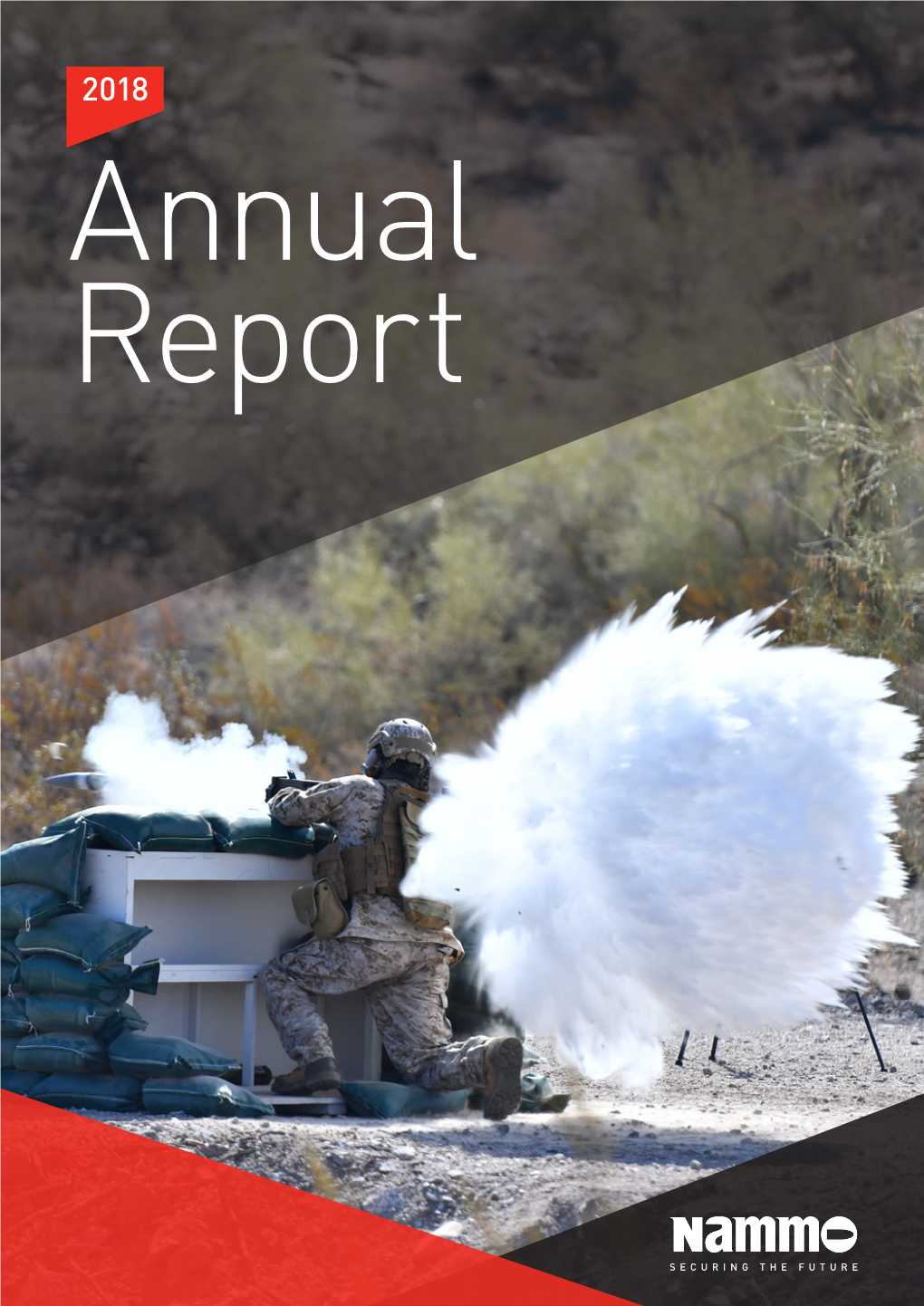 Annual Report 2018