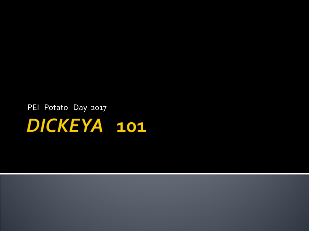 Dickeya Blackleg Is a More Aggressive Disease Than Blackleg Caused by Pectobacterium Atrosepticum