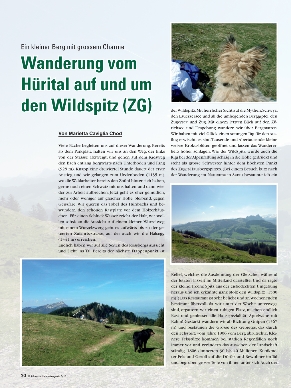 Wanderung Vom Hürital Auf Und Um Den Wildspitz (ZG) Der Wildspitz