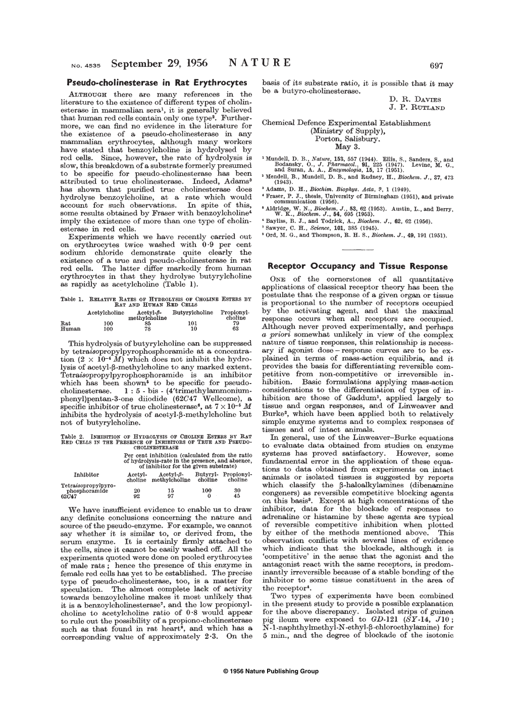 Pseudo-Cholinesterase in Rat Erythrocytes Basis of Its Substrate Ratio, It Is Possible That It May Be a Butyro-Cholinesterase