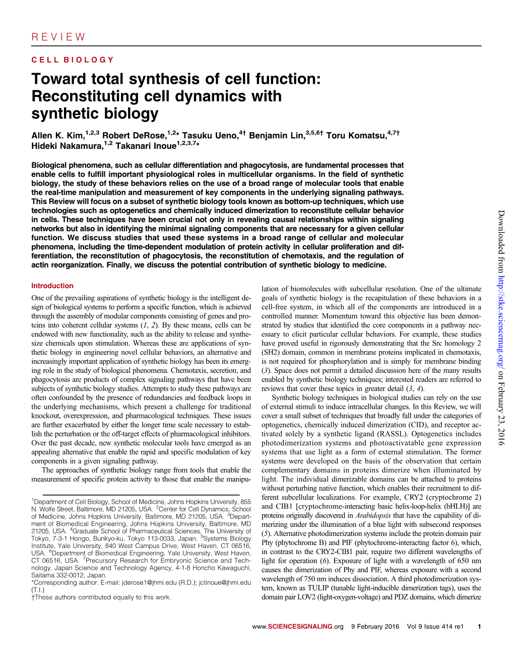 Reconstituting Cell Dynamics with Synthetic Biology