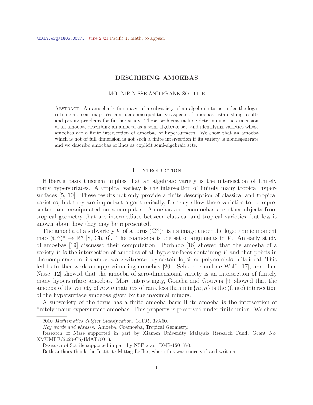 DESCRIBING AMOEBAS 1. Introduction