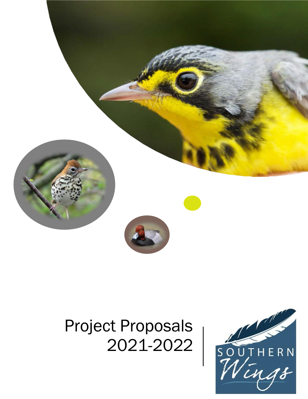 Project Proposals 2021-2022