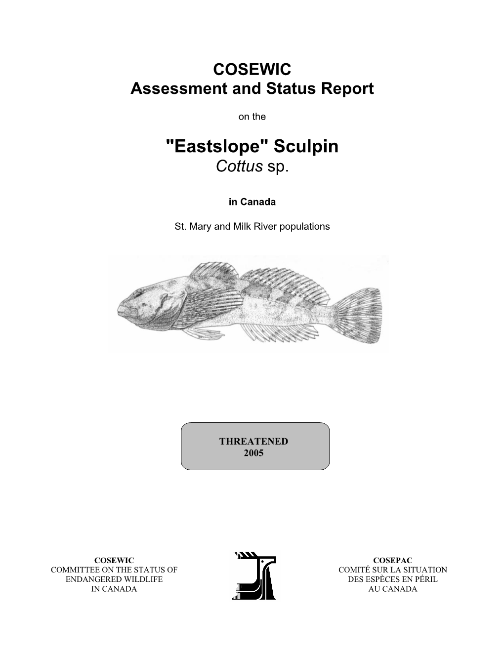 Eastslope Sculpin (Cottus Sp.) in Alberta