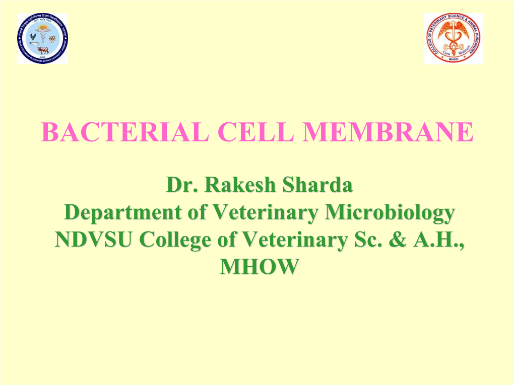 Bacterial Cell Membrane