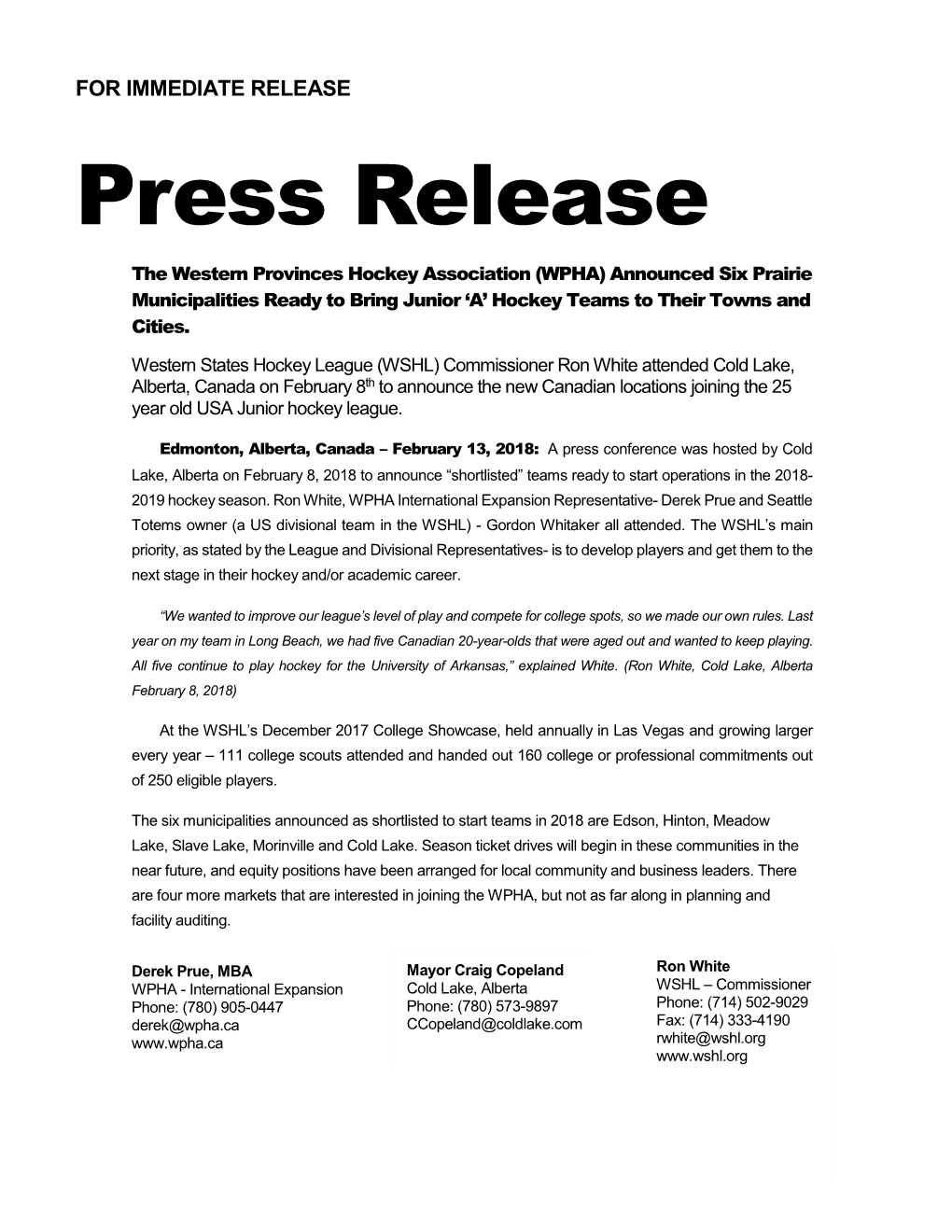 Press Release (Professional Design)