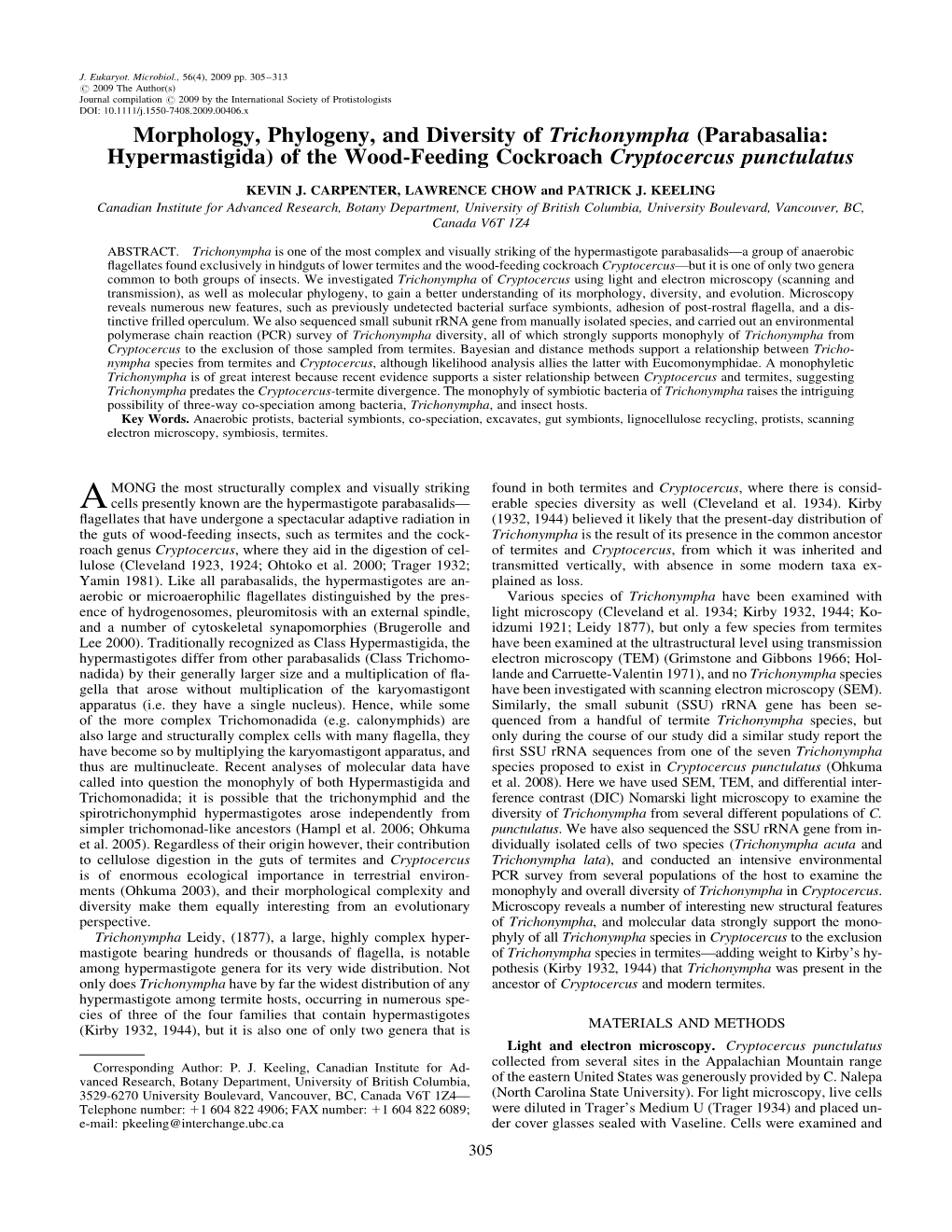 Morphology, Phylogeny, and Diversity of Trichonympha (Parabasalia: Hypermastigida) of the Wood-Feeding Cockroach Cryptocercus Punctulatus